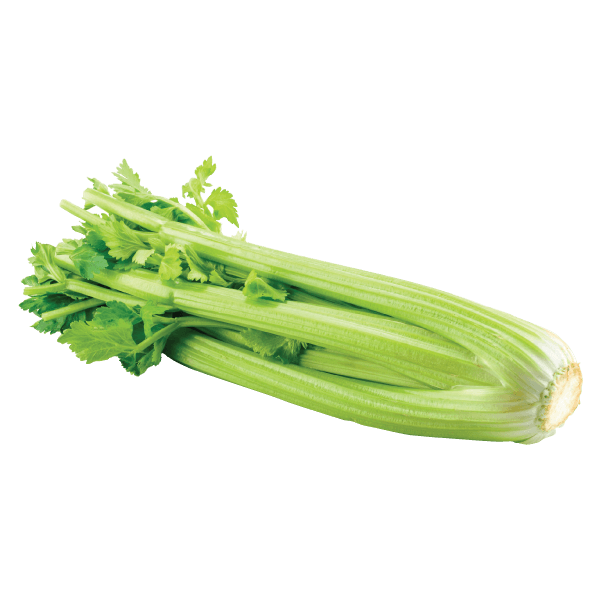 Organic-Celery